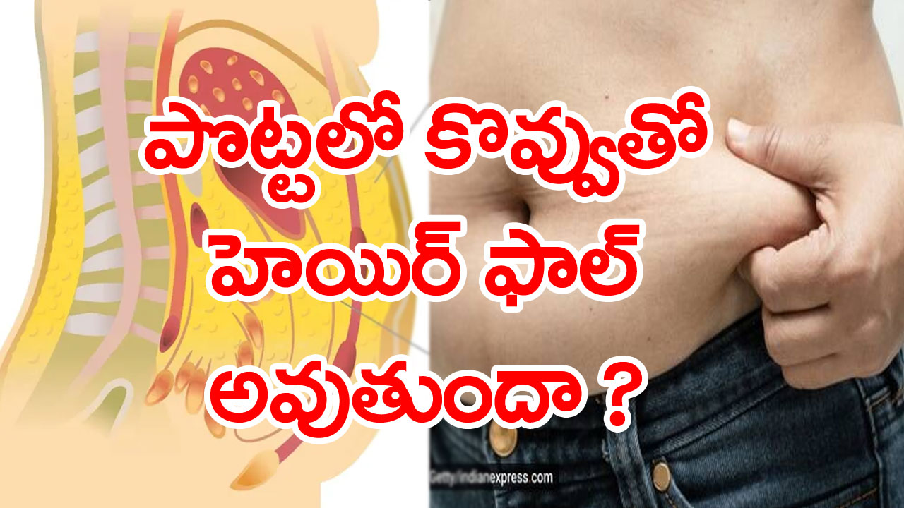 Health Awareness: హెయిర్ ఫాల్స్‌కు అధిక పొట్టకొవ్వు ఒక కారణమా? వైద్యులు చెబుతున్నదేంటంటే..!