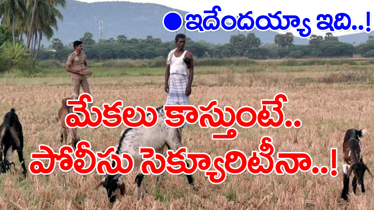 Viral: ఖాకీ నీడన గొర్రెల కాపరి.. రెండేళ్లుగా రక్షణ కల్పిస్తున్న పోలీసులు..!