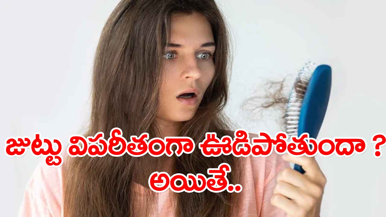 Hair Care Tips: నెలలో ఎన్నిసార్లు తలస్నానం చేస్తారో.. దానిని బట్టే జుట్టు పెరుగుదల ఉంటుందట..