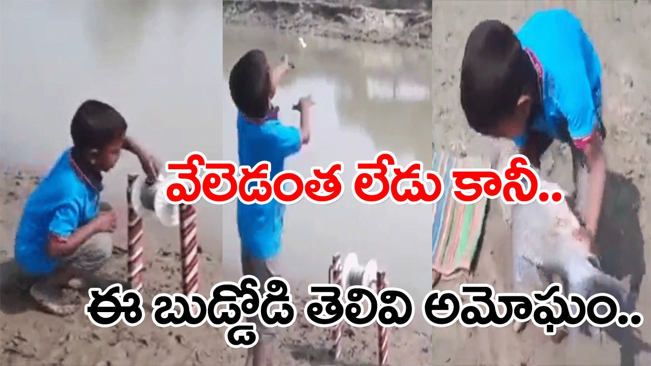 Viral Video: ఈ బుడ్డోడి తెలివి మాములుగా లేదుగా..  ఈ పిల్లాడు చేపలు పట్టే టెక్నిక్ చూస్తే అవాక్కవుతారు..