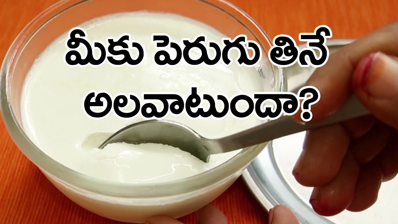 Food Health: రాత్రుళ్లు పెరుగు తినడం మంచిదా ? కాదా ? చాలామందికి ఉండే ఈ సందేహానికి సమాధానం దొరికేసింది..!