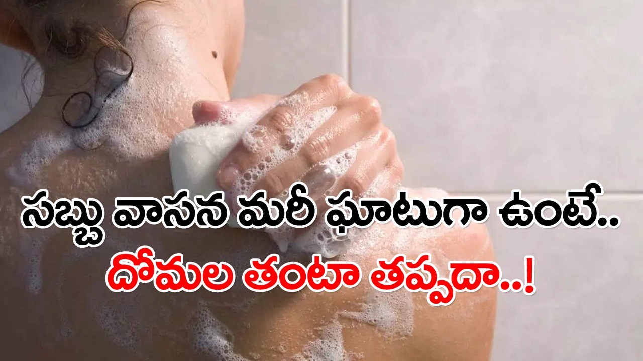 Fragrances in soap: సబ్బులోని సువాసనలు మిమ్మల్ని దోమలకు మరింత ఆకర్షణీయమైన లక్ష్యంగా చేస్తాయి.