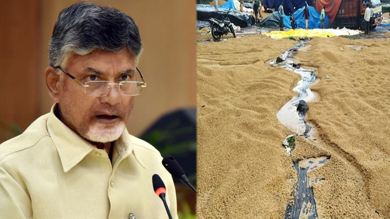 AP News: 20 రోజులుగా రైతులను కన్నెత్తి చూడని అధికారులు.. చంద్రబాబు రాకతో...