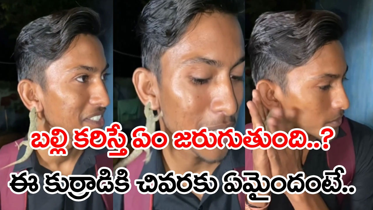 Viral Video: బల్లి కరిస్తే ఏమవుతుంది..? ఈ కుర్రాడి చెవికి చివరకు ఏమైంది..?