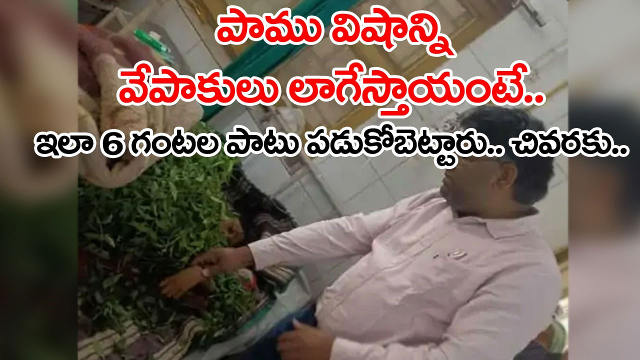 Snake Bite: 10 ఏళ్ల బాలుడిని కాటేసిన పాము.. డాక్టర్ దగ్గరకు తీసుకెళ్లకుండా వేపాకుల మధ్యలో పడుకోబెట్టారు.. 6 గంటల తర్వాత..!