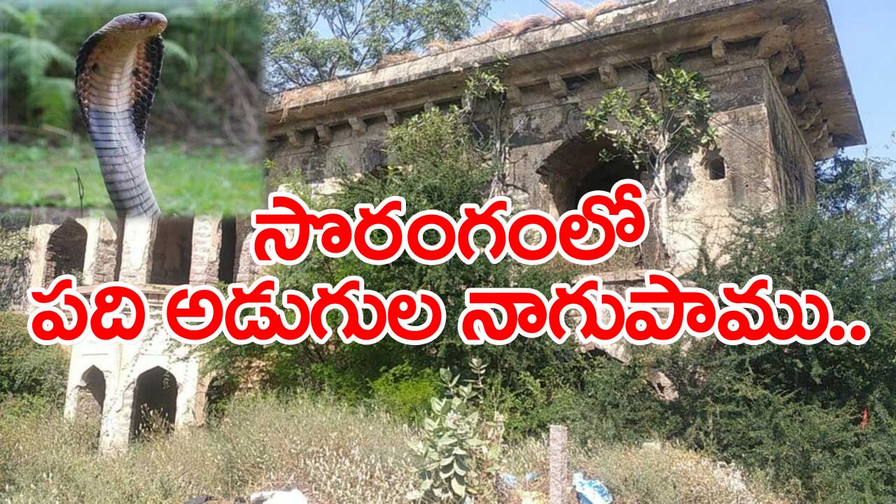 Rangareddy Dist.: రాజేంద్రనగర్‌లో గుప్త నిధుల కలకలం..