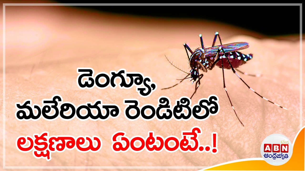 Malaria, Dengue: దోమల వల్ల వచ్చే ఈ రెండు వ్యాధుల మధ్య వ్యత్యాసాన్ని ఎలా తెలుసుకోవాలి.. వీటి నివారణకు ఏంచేయాలంటే..