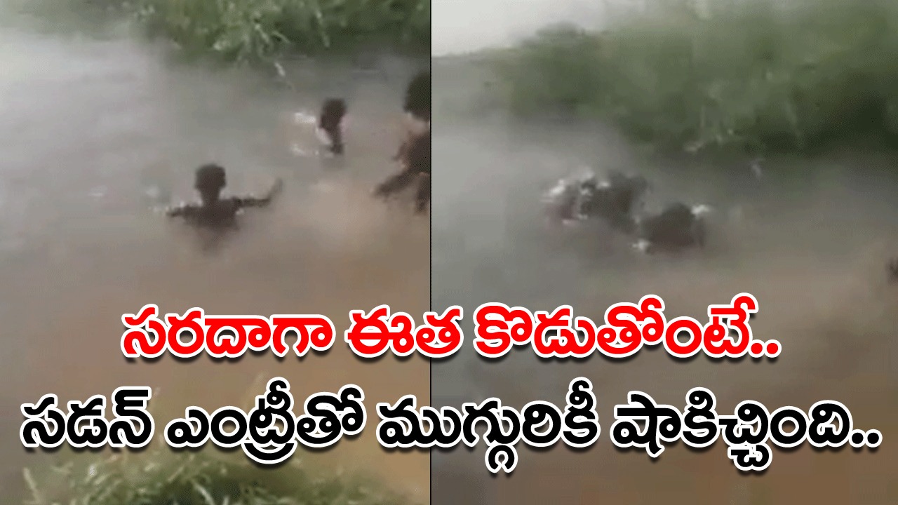 Shocking Video: ఈత కొడుతున్న ముగ్గురు స్నేహితులు.. సడన్‌గా వాళ్ల మధ్యలోకి వచ్చినదేంటో చూసి గుండె ఆగిపోయినంత పనయింది.. చివరకు..!