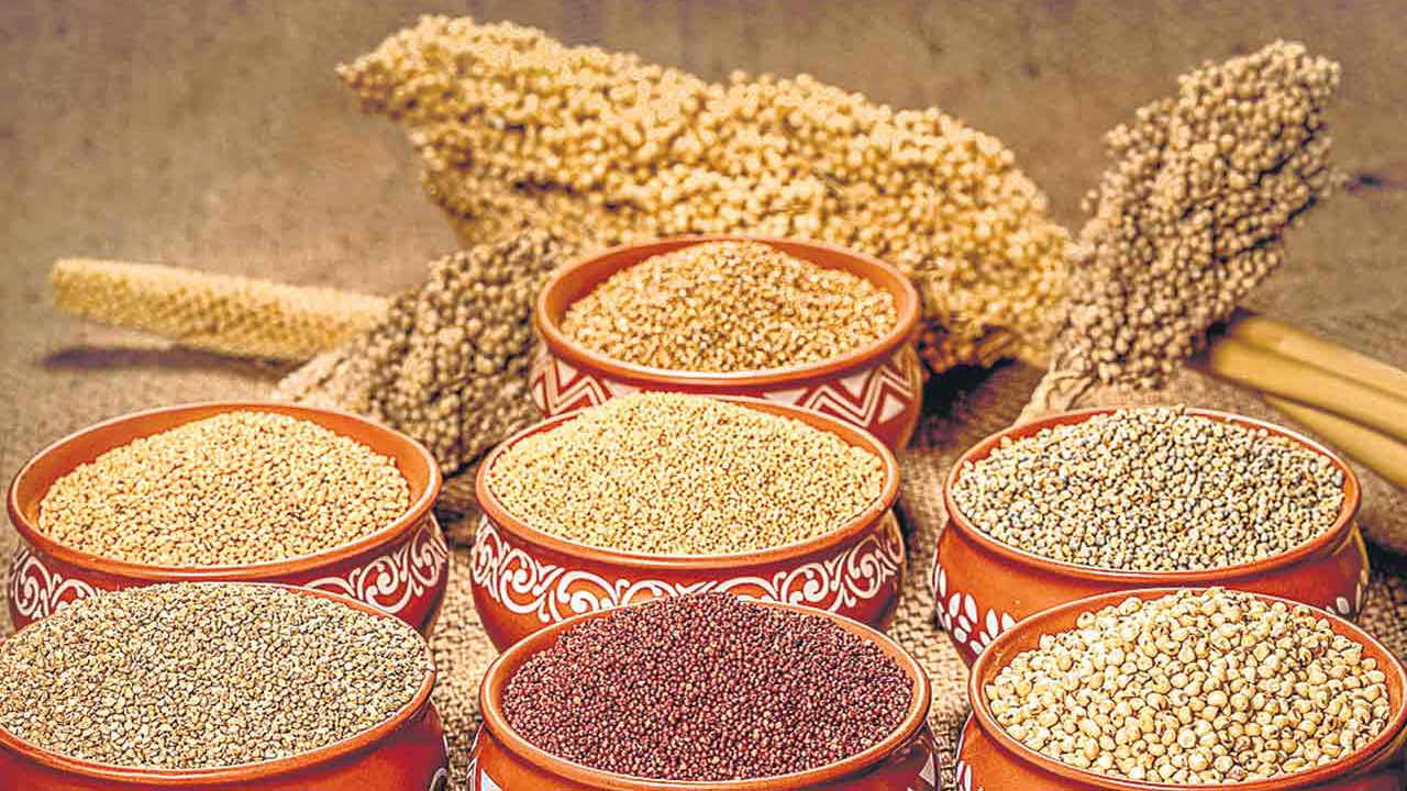 Millet is a superfood: సరిగ్గా తీసుకుంటే మిల్లెట్స్ కన్నా సూపర్ ఫుడ్ ఇంకోటి లేదు తెలుసా..!