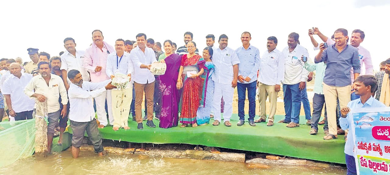 చేపా.. చేపా.. ఎక్కడున్నావ్‌?