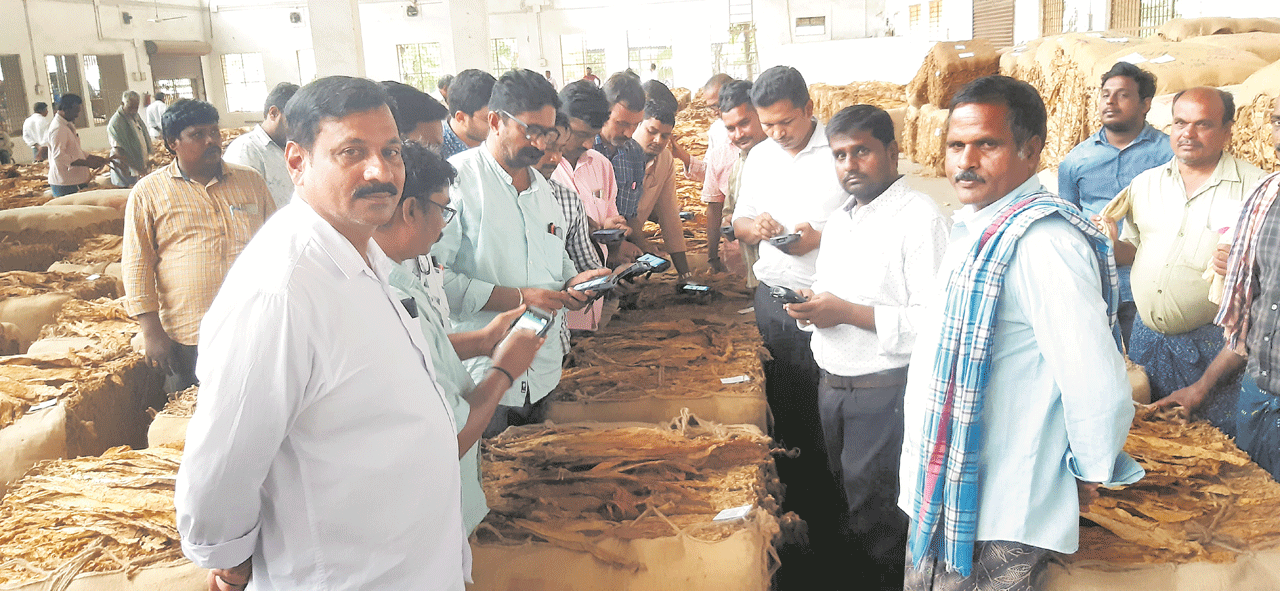 పొగాకు అధరహో..