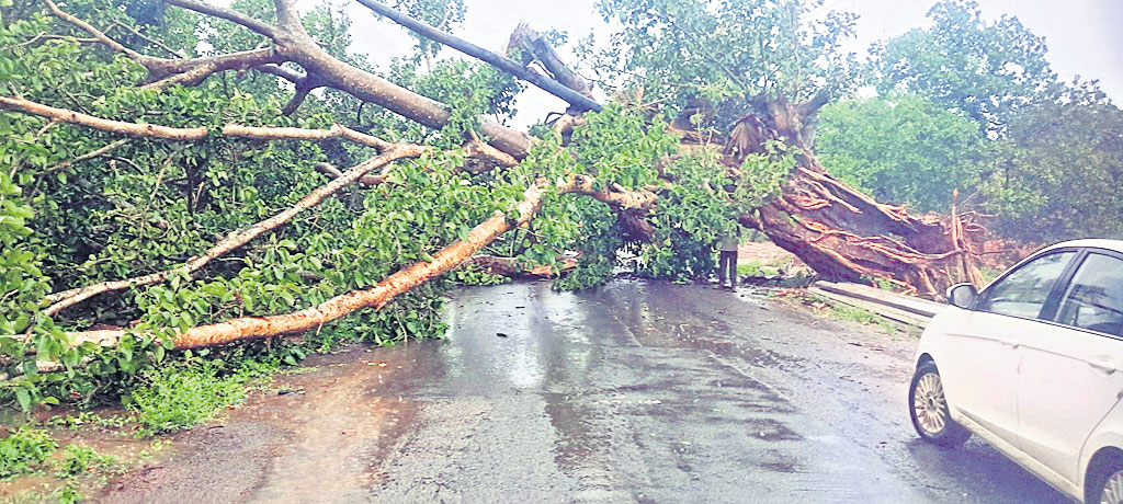 ఈదురు గాలులతో భారీ వర్షం | Heavy rain with gusty winds