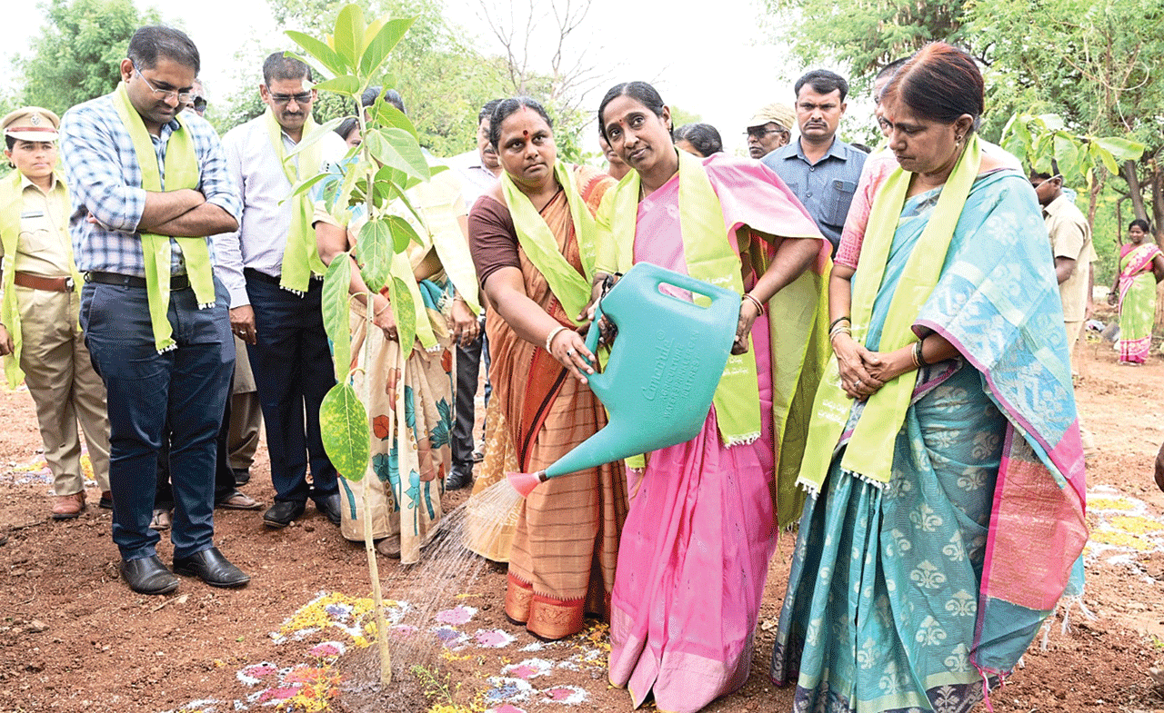 మొక్కలతోనే మానవ మనుగడ