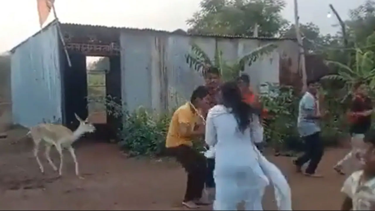 Viral Video: ఇదేం విచిత్రం.. ఆ దేవుడి లీలేనా..? భక్తి పాటలు పాడుతూ వీళ్లంతా నృత్యం చేస్తోంటే.. సడన్‌గా ఓ జింక వచ్చి..!