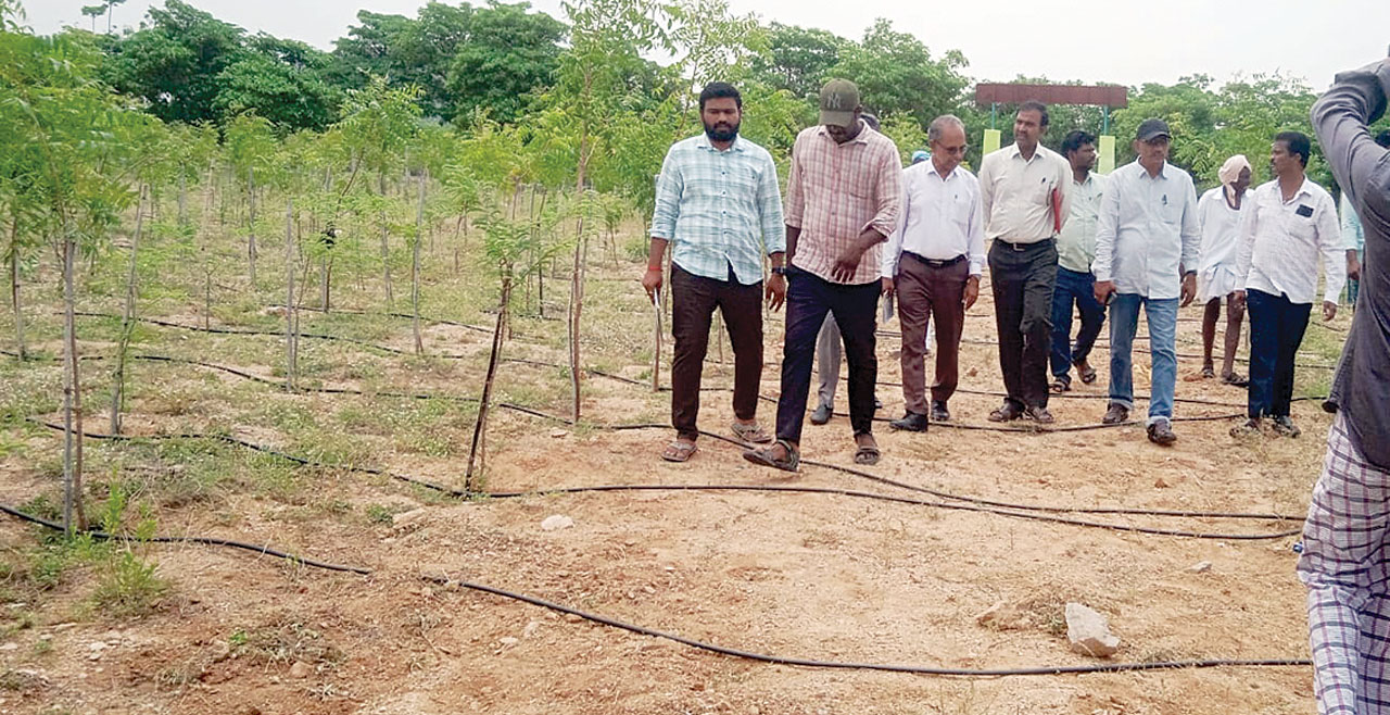 గ్రామాల్లో మెరుగుపడిన పారిశుధ్యం