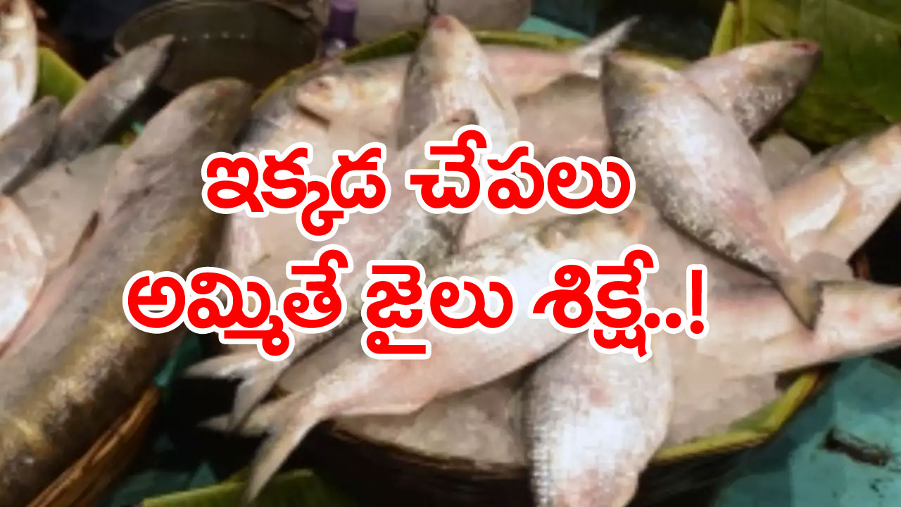 Bans Sale Of Fish: ఈ రాష్ట్రంలో 15రోజులపాటు చేపల దిగుమతి, అమ్మకాలపై నిషేధం విధించారు.. ఎందుకంటే..?