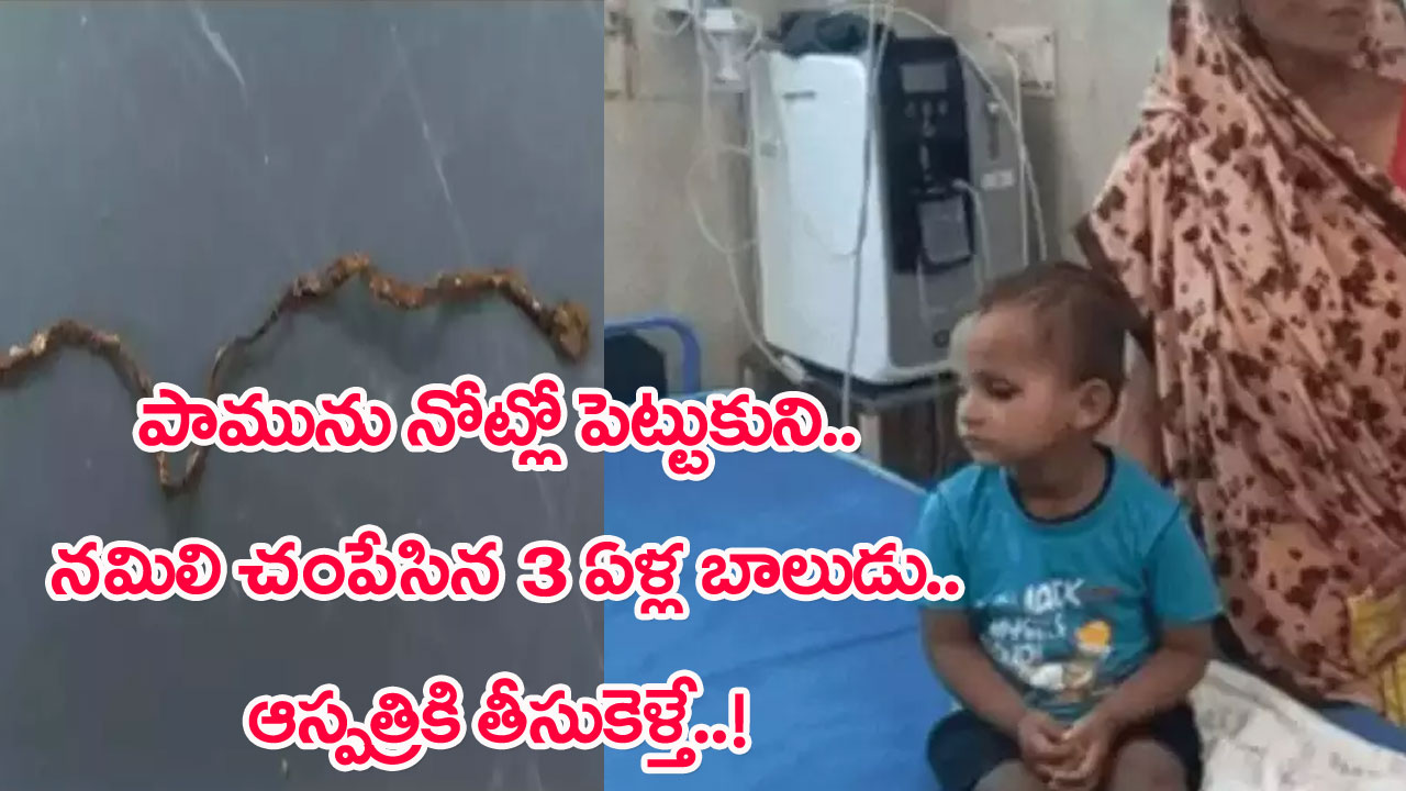 Snake: మూడేళ్ల పిల్లాడు ఏదో తింటున్నాడని గబగబా వచ్చిన నాయనమ్మ.. నోట్లో చచ్చిన పాము కనిపించడంతో షాక్.. ఆస్పత్రికి తీసుకెళ్తే..!