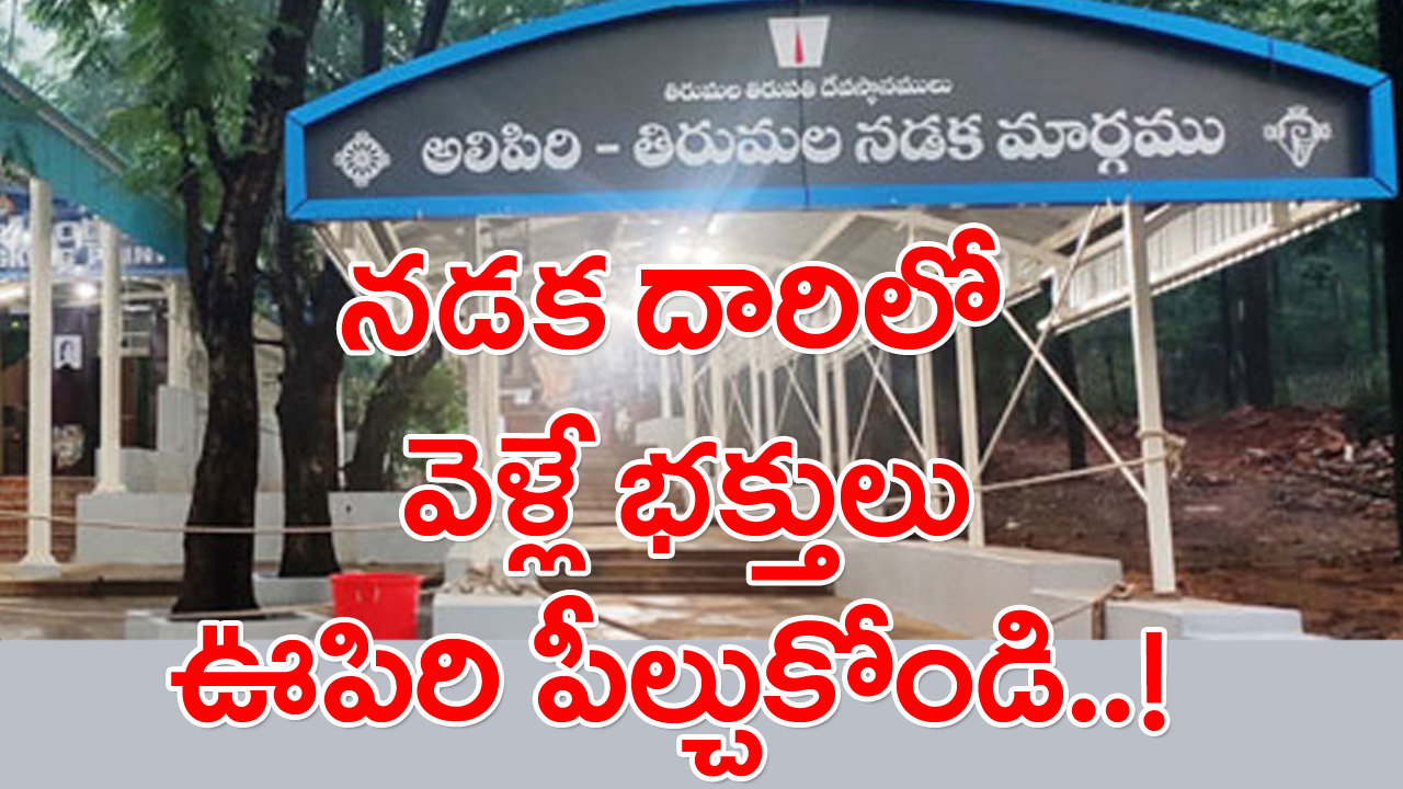 Tirumala: నడక దారిలో వెళ్లే శ్రీవారి భక్తులు ఊపిరిపీల్చుకోండి.. ఎందుకంటే..