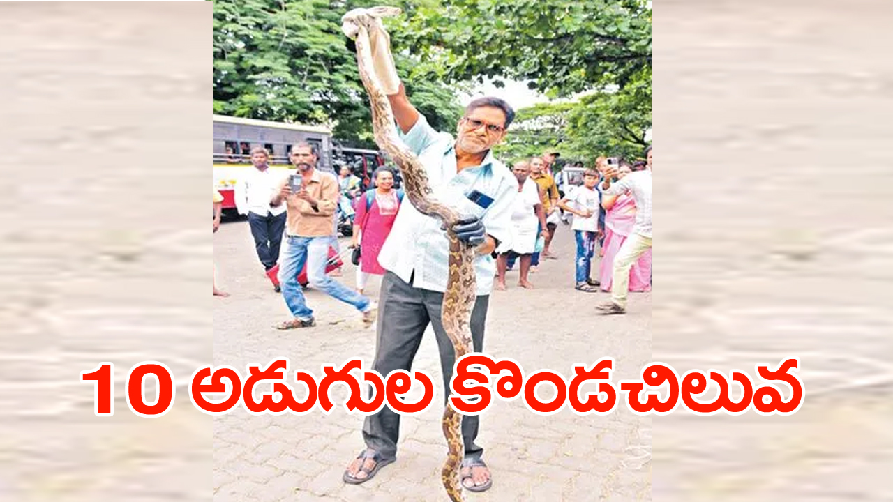 Python: తిరుమలలో భారీ కొండచిలువ.. ఎక్కడ కనిపించిందంటే..