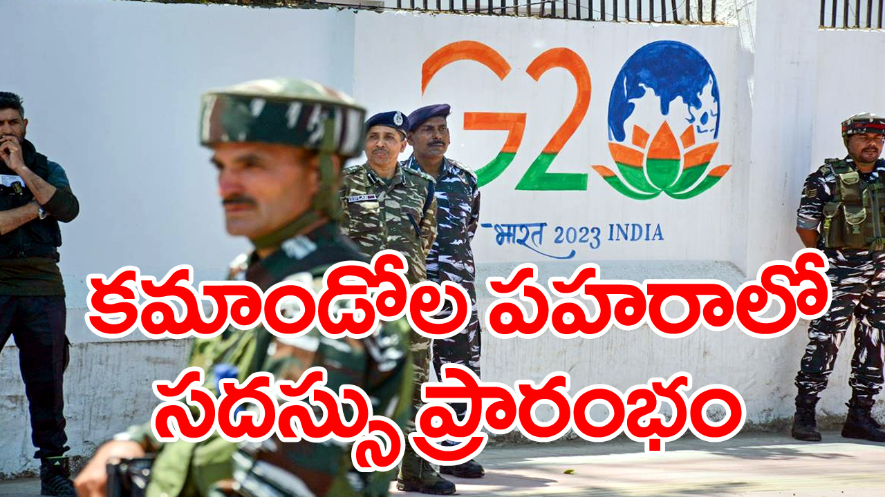 G20 Meet: శ్రీనగర్‌లో జి 20 సదస్సు... మెరైన్ కమాండోలు, జాతీయ భద్రతా గార్డులతో భారీ భద్రత