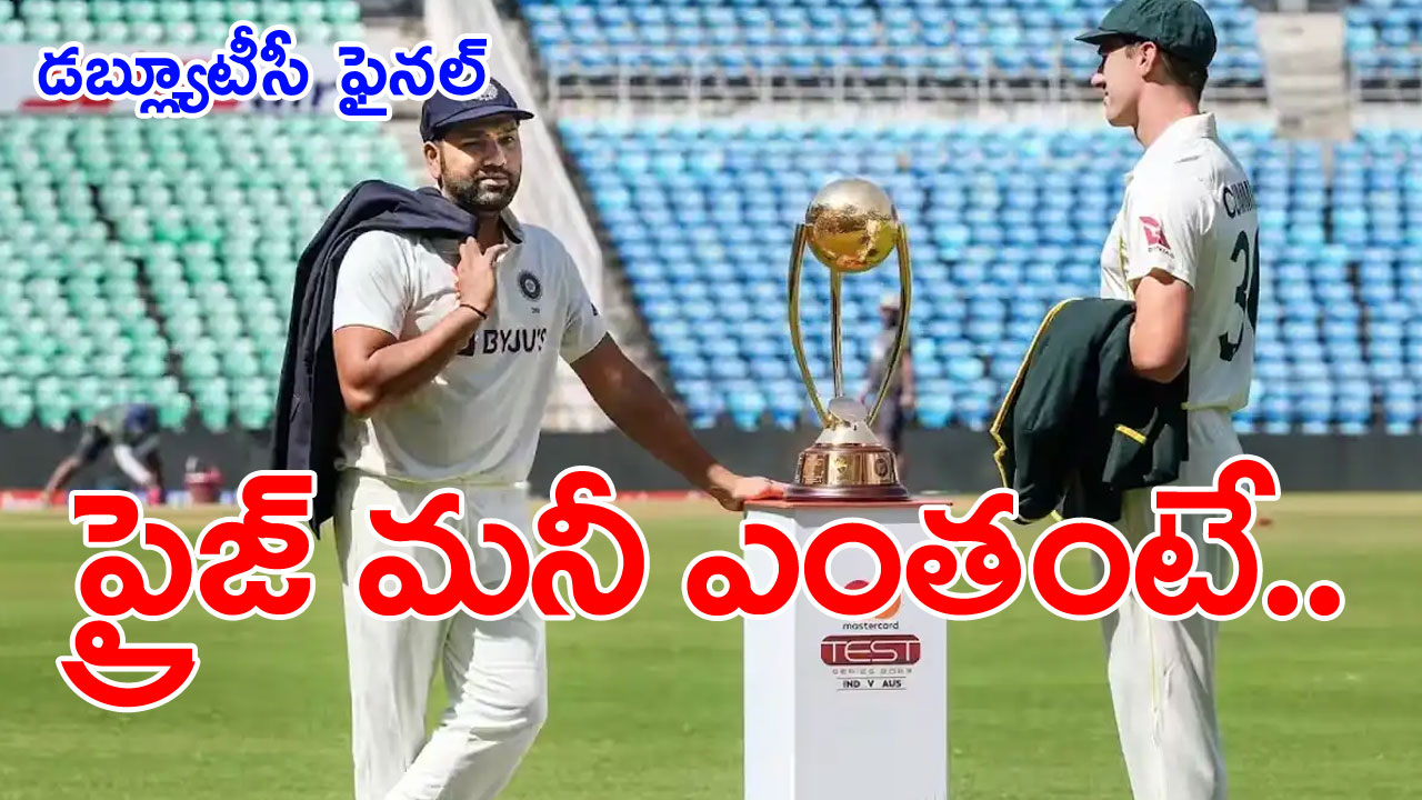 WTC final: డబ్ల్యూటీసీ విజేత గెలుచుకోబోయే ప్రైజ్‌ మనీ ప్రకటించిన ఐసీసీ.. వామ్మో ఇంత భారీ మొత్తమా?