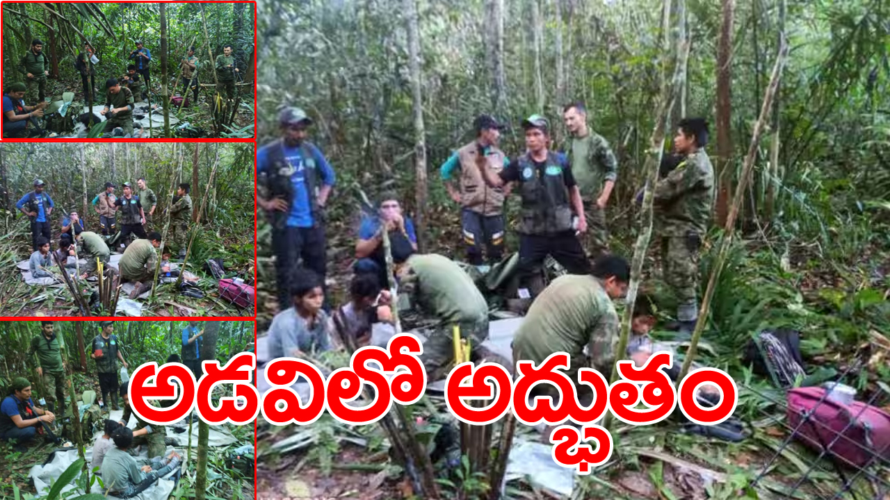 Amazon rainforest : కూలిన విమానం.. 40 రోజుల తర్వాత  చూస్తే...