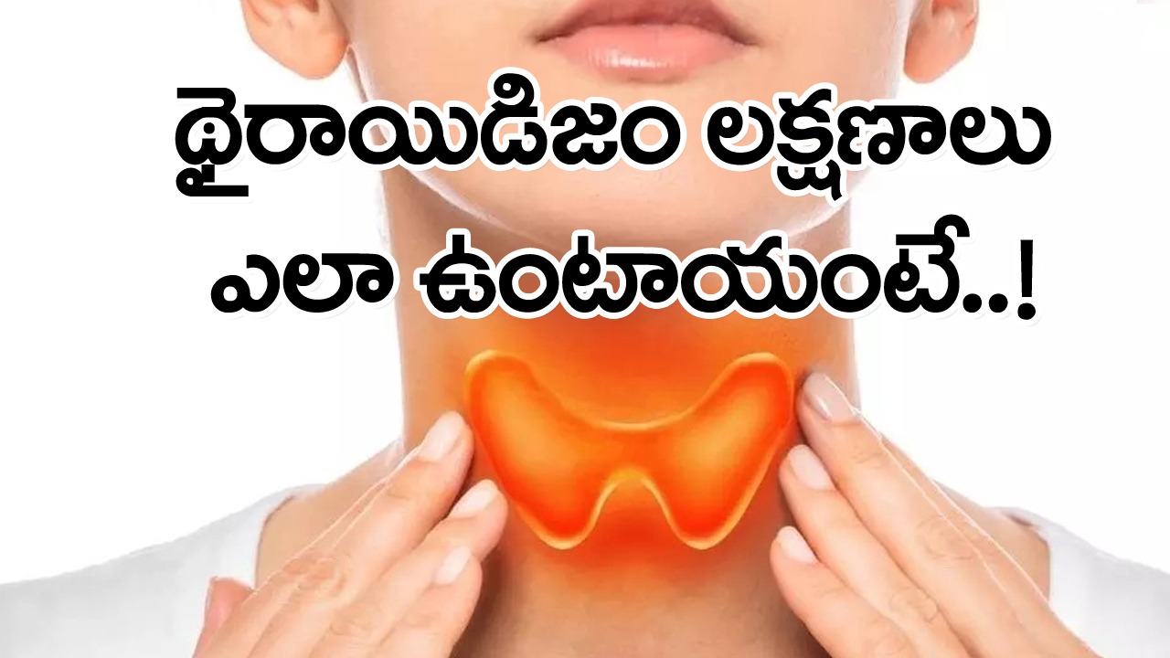 Hypothyroidism symptoms: హార్మోన్ల అసమానతలు తెలుసుకోకపోతే.. పెద్ద చిక్కే.. ఈ థైరాయిడ్ లక్షణాలు ఎలా ఉంటాయంటే..!