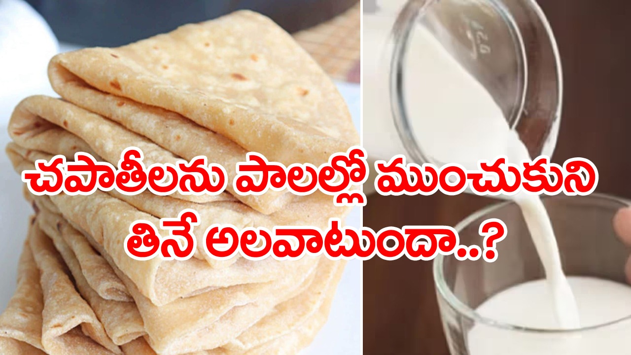 Milk With Chapati పాలల్లో చపాతీలను ముంచుకుని తినడం మంచిదేనా ఈ అలవాటు ఉన్నవాళ్లు తప్పక 8830