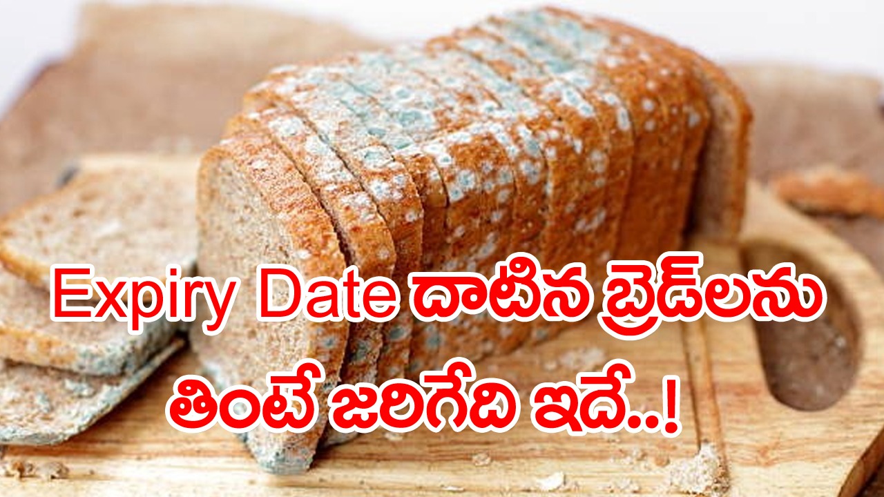 Bread Packets: బ్రెడ్ బాగుందా..? పాడైపోయిందా..? గుర్తించేందుకు 4 సింపుల్ ట్రిక్స్‌.. గడువు పూర్తయిన బ్రెడ్‌లను తింటే..!