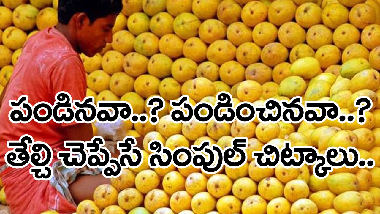 Mango: ఈ మామిడి పండ్లు.. చెట్టుపై పండినవా..? రసాయనాలతో మాగించినవా..? ఈ చిట్కాలతో తేల్చేయడం యమా ఈజీ..!