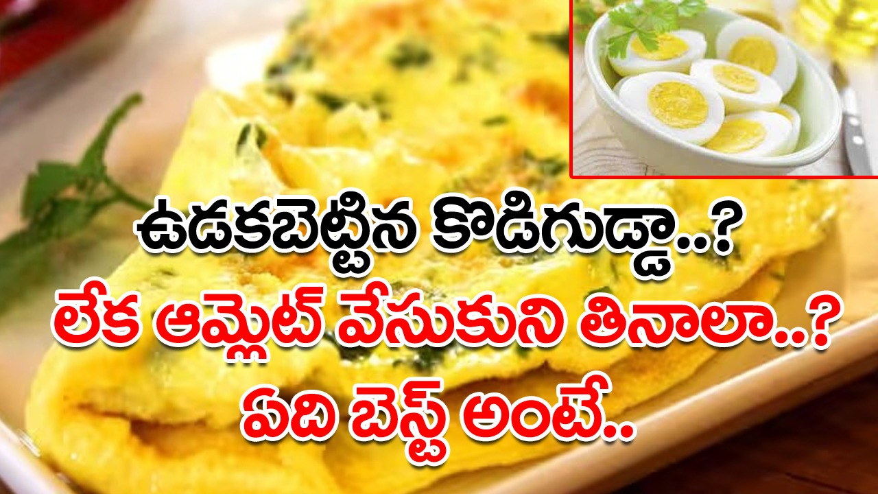 Boiled Eggs vs Omelette ఆమ్లెట్ వేసుకుని తినడం కంటే కోడి గుడ్లను ఉడకబెట్టి తింటేనే మంచిదా