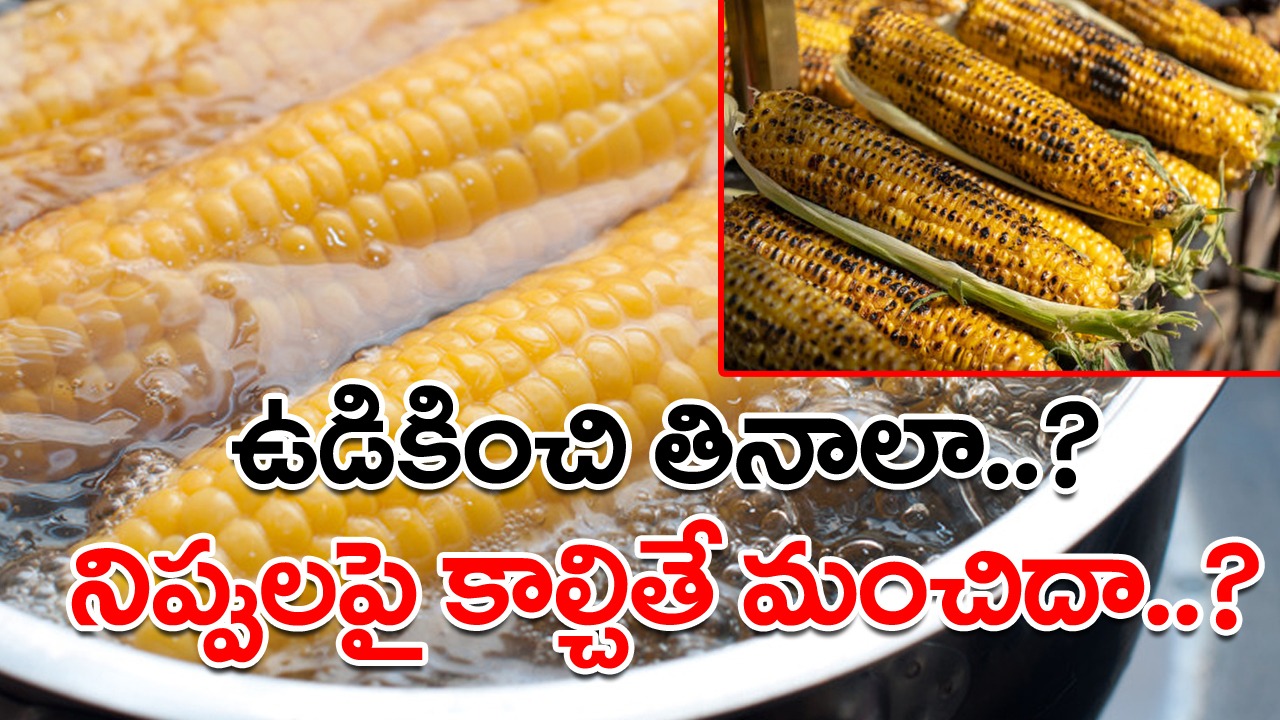 Corn: మొక్కజొన్న పొత్తులను ఉడికించి తింటే బెస్టా..? లేక నిప్పులపై కాల్చి తింటే మంచిదా..? అసలు ఆరోగ్యానికి ఏది మంచిదంటే..!