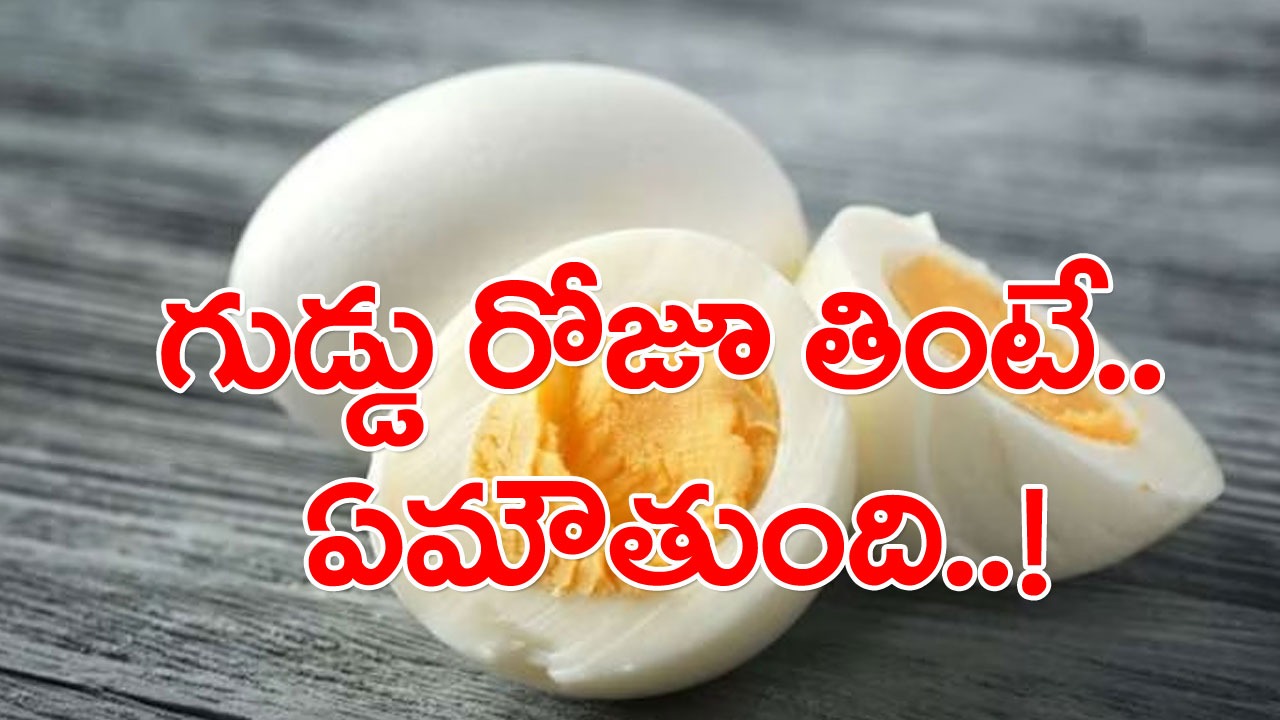Eating Egg: అవునా..? గుడ్డును రోజూ తినడం వల్ల కూడా నష్టాలున్నాయా..? ఎవరెవరు ఇలా చేయకూడదంటే..!