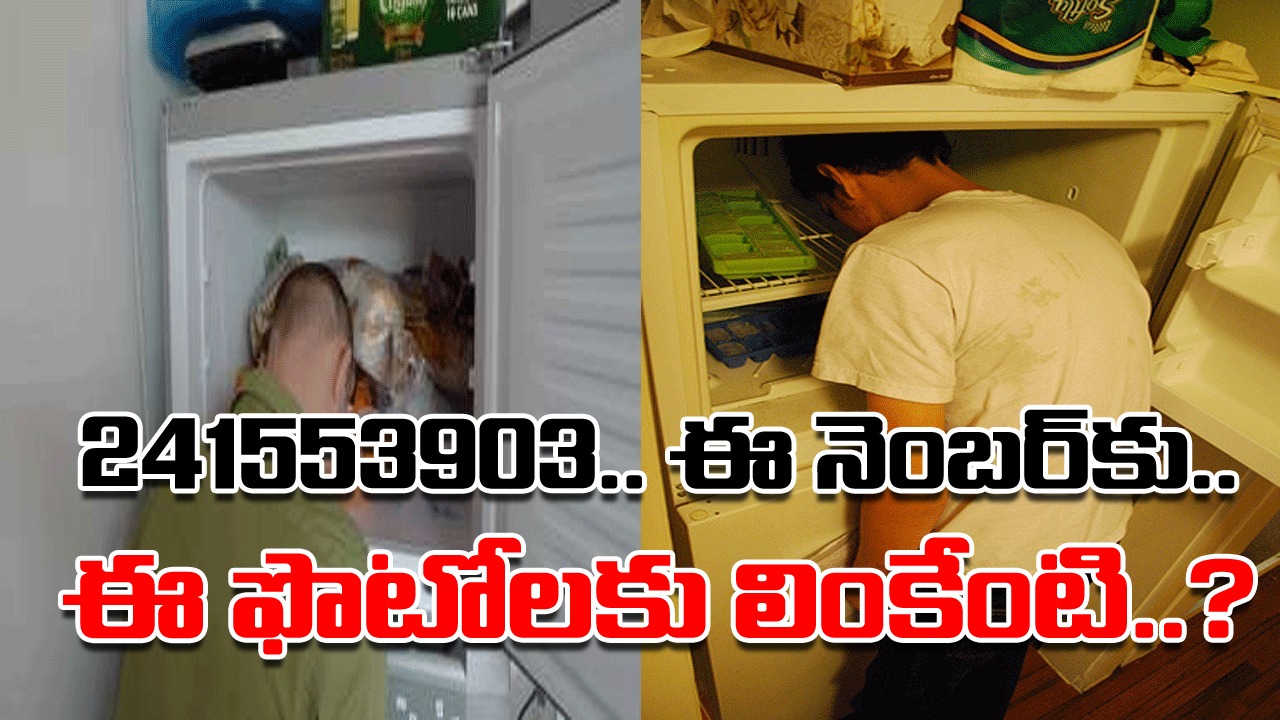 Interesting Facts: 241553903 .. ఈ నెంబర్‌ను గూగుల్‌ సెర్చ్ చేస్తే షాకింగ్ సీన్లు.. ఫ్రిజ్‌లో తలపెట్టిన ఫొటోలే కనిపించడం వెనుక..!