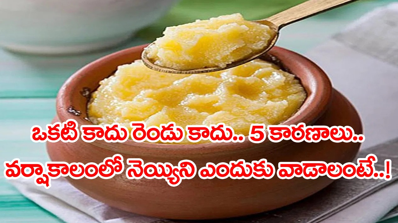 Ghee: ఇష్టం లేకపోయినా సరే.. ఈ వర్షాకాలంలో నెయ్యిని తప్పకుండా వాడండి.. ఎందుకిలా చెప్పాల్సి వస్తోందంటే..!