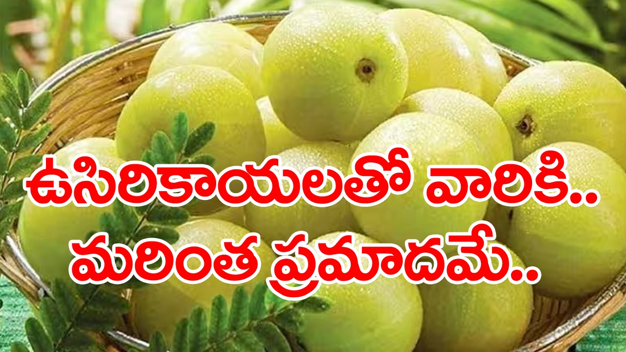 Amla: నోరూరించే ఉసిరికాయలకు.. ఈ 4 లక్షణాలు ఉన్నవాళ్లంతా దూరంగా ఉంటేనే బెటర్..!