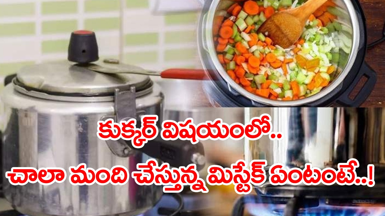 Pressure Cooker: కుక్కర్‌లో వంట చేసే అలవాటుందా..? అయితే వీటిని మాత్రం దాంట్లో అస్సలు ఉడికించకండి..!