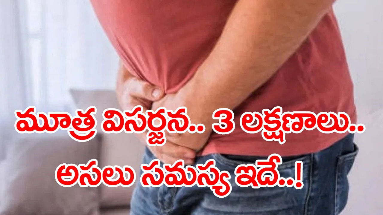 Urine Signs: మూత్రానికి వెళ్లినప్పుడల్లా.. ఈ 3 లక్షణాల్లో ఏ ఒక్కటి కనిపించినా.. క్షణం కూడా ఆలస్యం చేయకండి..!
