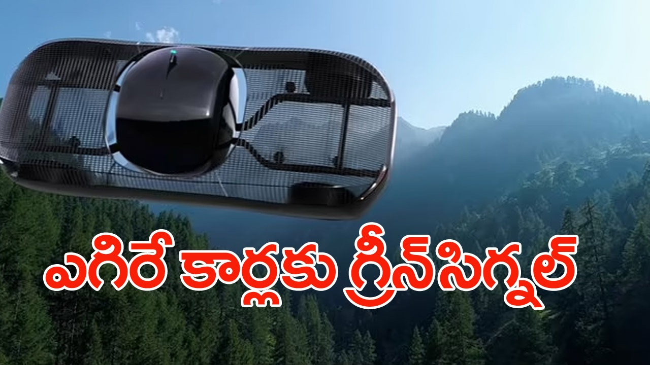 Flying Car: త్వరలో మార్కెట్లోకి ఎగిరే కార్లు..ధర ఎంతంటే..