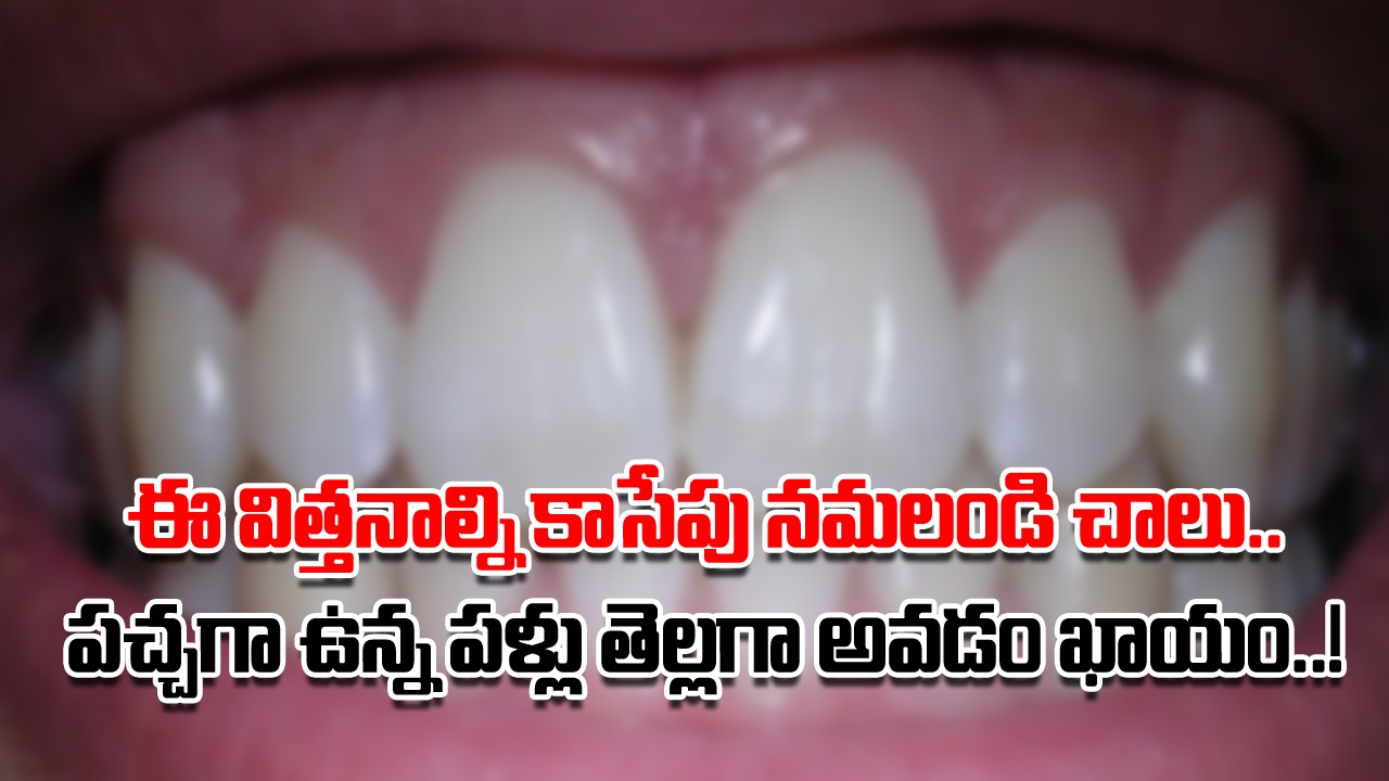 Yellow Teeth: ఎంత బ్రష్ చేసినా.. ఎన్ని మందులు వాడినా పళ్లు పచ్చగానే ఉంటున్నాయా..? రోజూ ఈ విత్తనాలను నోట్లో వేసుకుని నమిలితే..!
