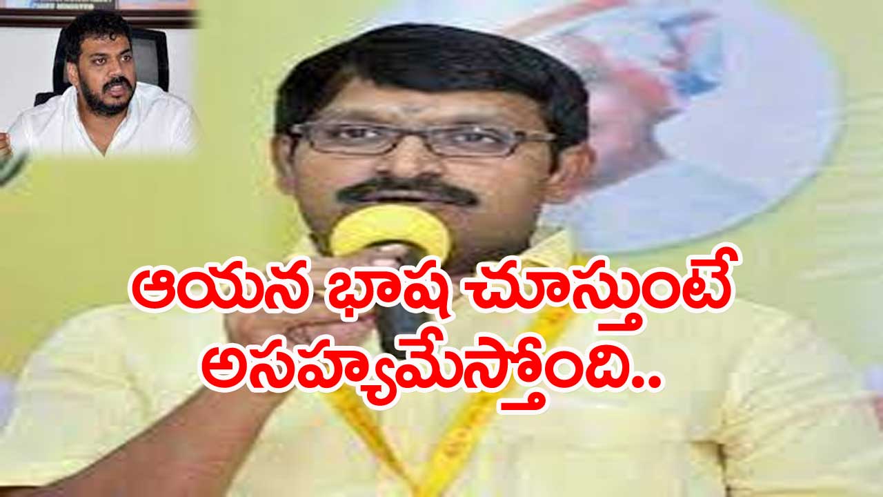 Beeda Ravichandra: ఎమ్మెల్యే అనిల్‌పై బీద రవిచంద్ర హాట్ కామెంట్స్...