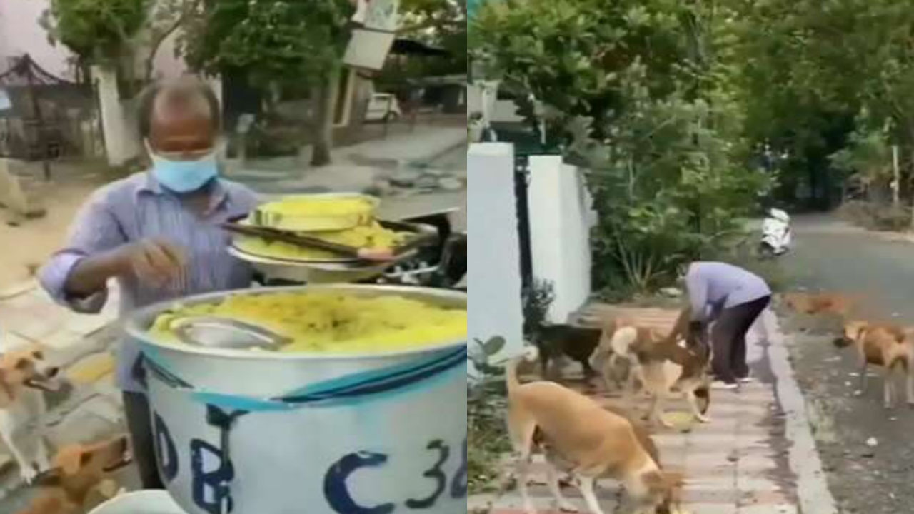 Viral Video: శభాష్ పెద్దాయనా.. లాభమే ఆశించకుండా 11 ఏళ్లుగా ఇదే పని.. బైక్‌పై వచ్చి శునకాలకు భోజనం పెడుతూ..!