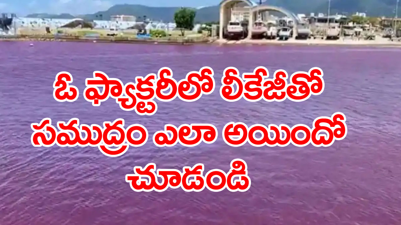 River Turns Blood Red: ఉన్నట్టుండి..ఓడరేవులో నీరు రక్తంలా ఎర్రగా మారడంతో స్థానికులు, పర్యాటకులు ఆందోళన .. ఏం జరిగిందా అని ఆరా తీస్తే..