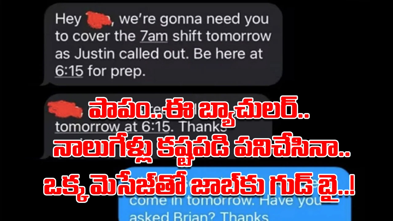 Bachelor's: ఉద్యోగాలు చేసే బ్యాచులర్స్.. మీక్కూడా ఇలాంటి పరిస్థితి ఎప్పుడైనా ఎదురైందా..? బాస్‌తో ఈ కుర్రాడి చాటింగ్ చదివితే..!