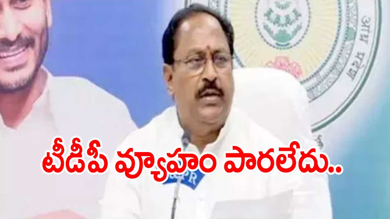 Deputy CM: పవన్ ప్రసంగాలు ఉన్మాదానికి ఎక్కువ.. పిచ్చికి తక్కువ..