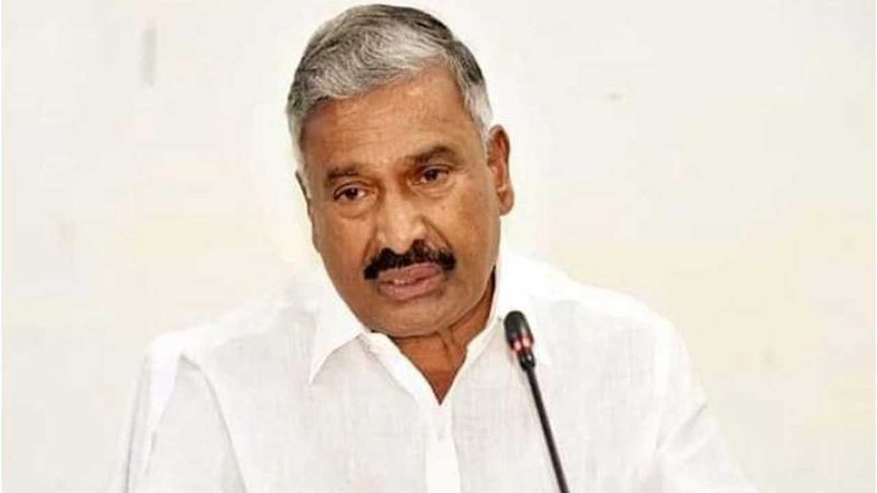 Minister Peddireddy: తిరుమల నడకదారిలో చిరుతల దాడిపై మంత్రి పెద్దిరెడ్డి వ్యాఖ్యలు