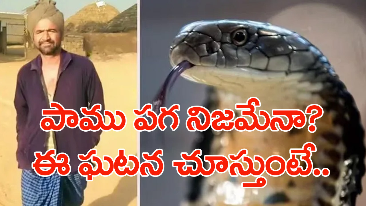 Snake bite : వ్యక్తి ప్రాణం పోయే వరకు వదలని పాము.. మొదటిసారి కరిస్తే ప్రాణాలు పోలేదని తెలిసి..