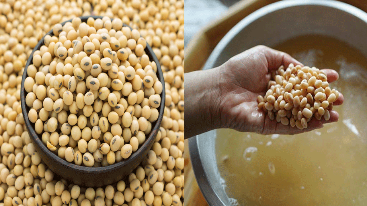 Soya Beans: సోయాబీన్స్ గురించి దిమ్మతిరిగిపోయే నిజాలు.. మహిళలకు ఏకంగా ఇన్ని  లాభాలా??