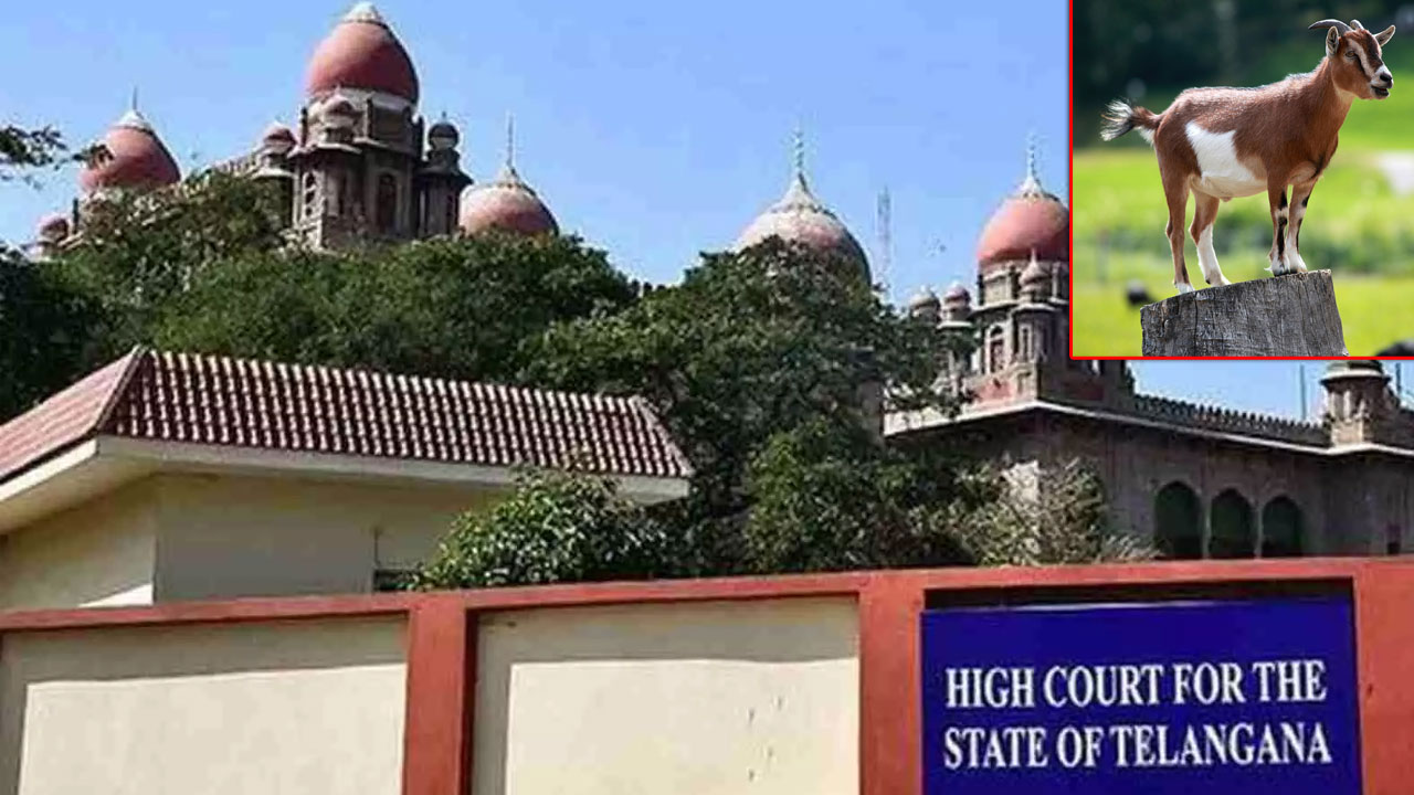 T.highcourt: ఒక్క రోజు ముందు లేఖ తగదు.. బక్రీద్ సందర్భంగా జంతువధపై హైకోర్టు కీలక వ్యాఖ్యలు