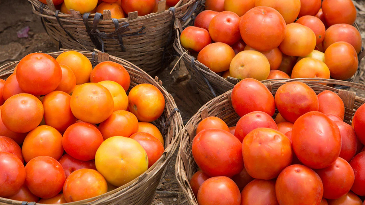 Tomatoes : కేజీ టమాటాలు రూ.250.. అవాక్కవుతున్న వినియోగదారులు..